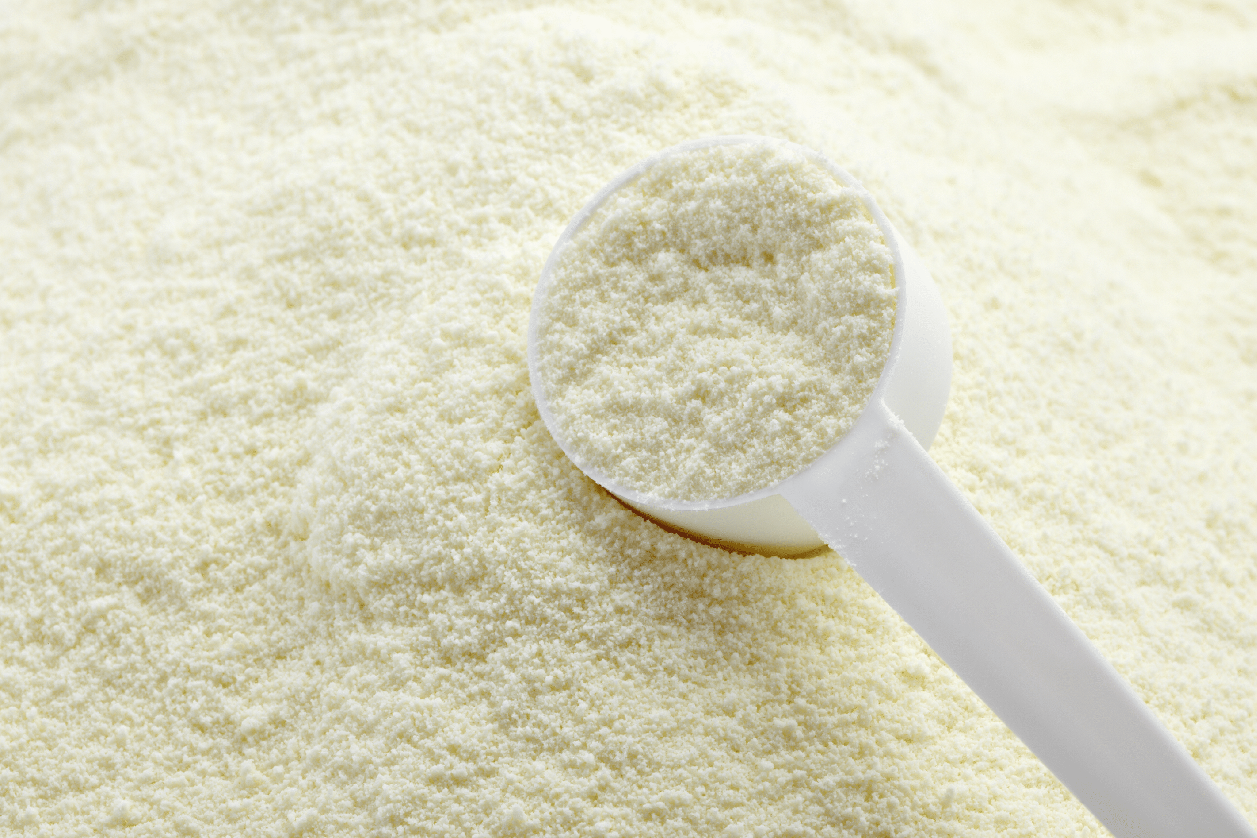 Dairy powders